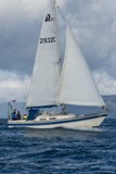 halley 2932c whyw25 sun 800_7033